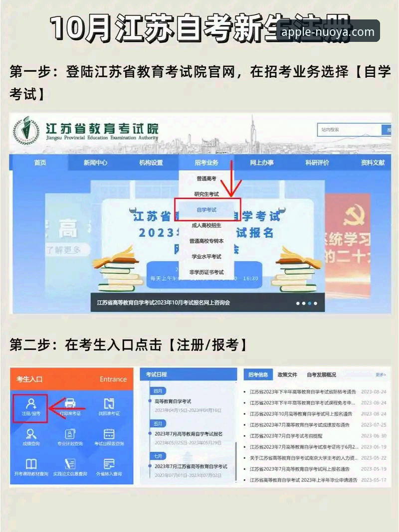 诺亚体育官方最新版下载与注册全流程操作教程