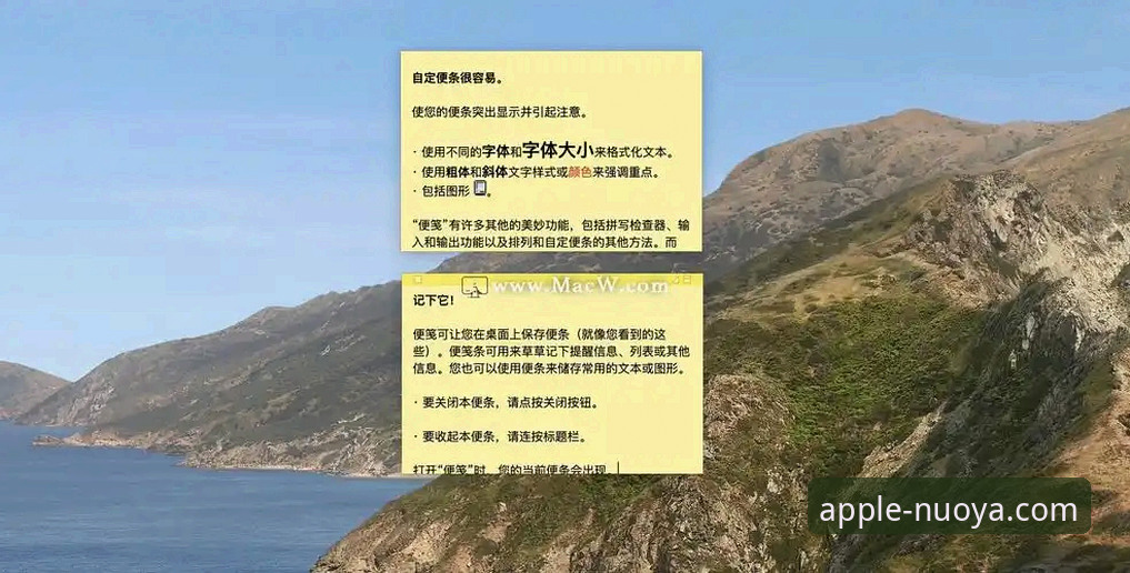深度揭秘诺亚体育平台:官网下载与高效使用全技巧
