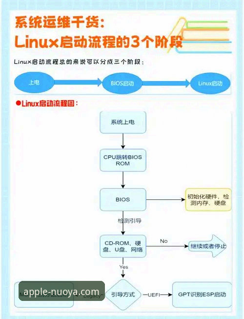 诺亚体育官网APP官方下载与安装全流程操作教程
